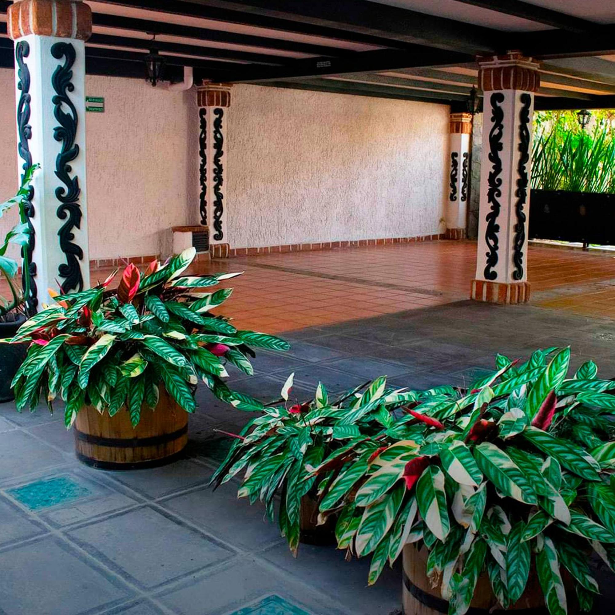 Hotel Boutique La Mansion Guadalajara Kültér fotó